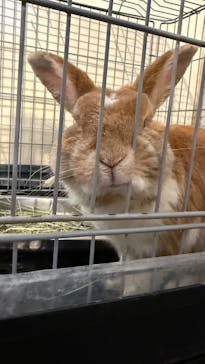 おさるの湯もみ処　おさ湯に投稿された画像（2025/7/28）