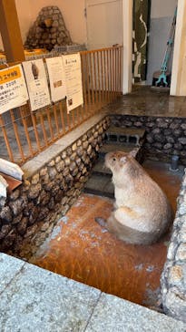 おさるの湯もみ処　おさ湯に投稿された画像（2025/7/28）