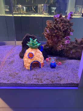 AOAO SAPPOROに投稿された画像（2025/7/28）