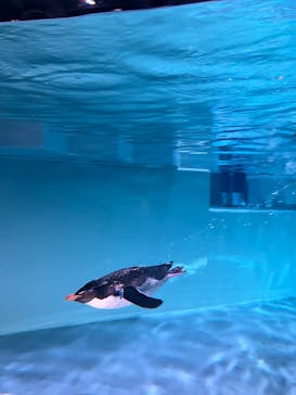 AOAO SAPPOROに投稿された画像（2025/7/28）