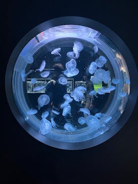 AOAO SAPPOROに投稿された画像（2025/7/28）