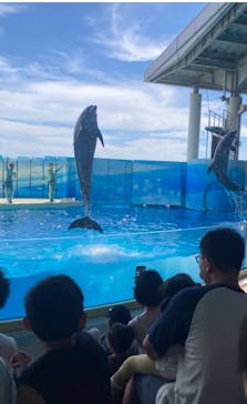 新江ノ島水族館に投稿された画像（2025/7/28）