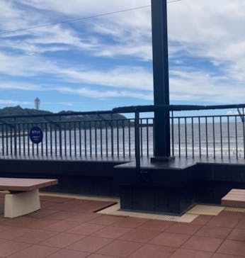 新江ノ島水族館に投稿された画像（2025/7/28）