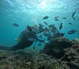 青の洞窟専門店　沖縄ダイビングショップ和に投稿された画像（2025/7/28）