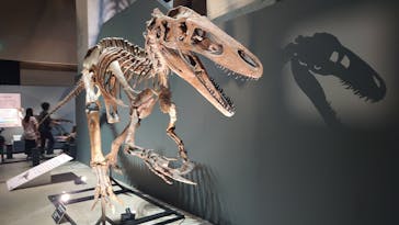 福井県立恐竜博物館に投稿された画像（2025/7/28）