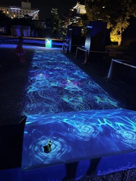 NAKED meets 二条城 2025 観月に投稿された画像（2025/7/28）