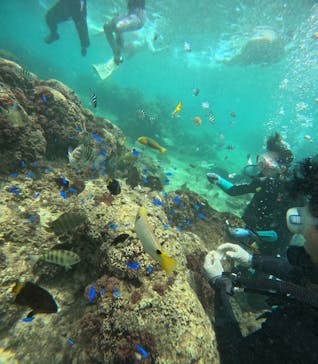 武藤潜水に投稿された画像（2025/7/28）