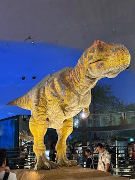 福井県立恐竜博物館に投稿された画像（2025/7/28）