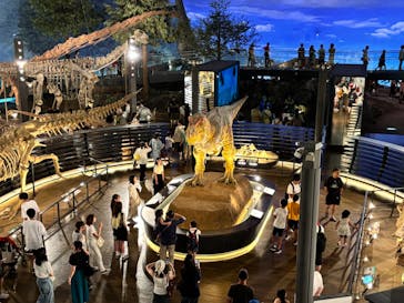 福井県立恐竜博物館に投稿された画像（2025/7/28）