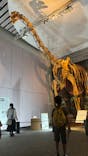 巨大恐竜展2025に投稿された画像（2025/7/28）