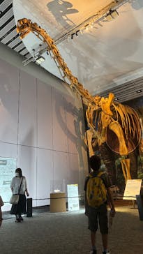 巨大恐竜展2025に投稿された画像（2025/7/28）