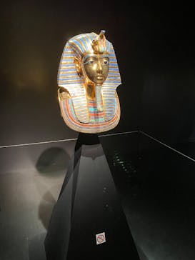 MYSTERY OF TUTANKHAMEN 体感型古代エジプト展に投稿された画像（2025/7/28）