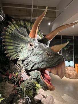 海洋堂ホビーランドに投稿された画像（2025/7/28）