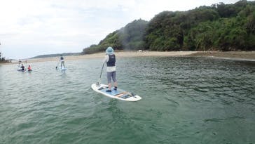 ホワイトウイングに投稿された画像（2025/7/28）