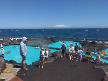 伊豆海洋公園磯プールに投稿された画像（2025/7/28）