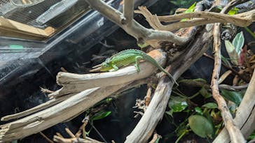 カワスイ 川崎⽔族館に投稿された画像（2025/7/28）