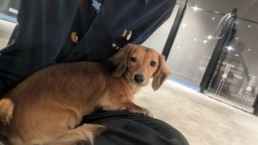 カワスイ 川崎⽔族館に投稿された画像（2025/7/28）