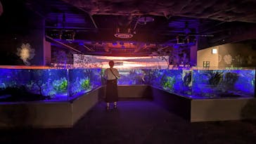 カワスイ 川崎⽔族館に投稿された画像（2025/7/28）