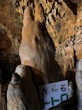 石垣島鍾乳洞に投稿された画像（2025/7/28）