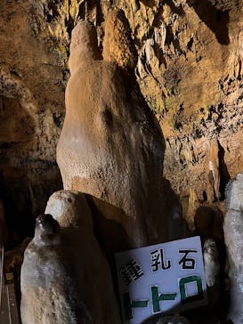 石垣島鍾乳洞に投稿された画像（2025/7/28）