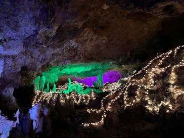 石垣島鍾乳洞に投稿された画像（2025/7/28）