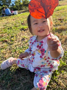 農業公園信貴山のどか村に投稿された画像（2025/7/28）