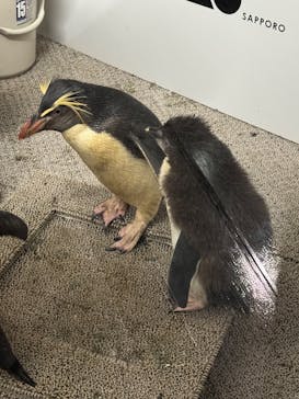 AOAO SAPPOROに投稿された画像（2025/7/28）