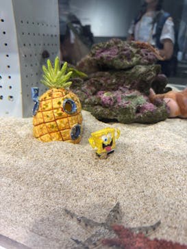 AOAO SAPPOROに投稿された画像（2025/7/28）