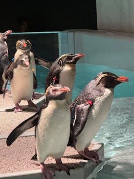 AOAO SAPPOROに投稿された画像（2025/7/28）