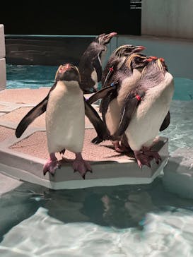 AOAO SAPPOROに投稿された画像（2025/7/28）