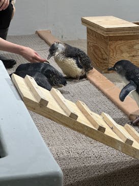 AOAO SAPPOROに投稿された画像（2025/7/28）