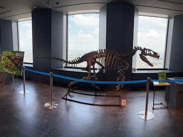 サンシャイン60展望台に投稿された画像（2025/7/28）