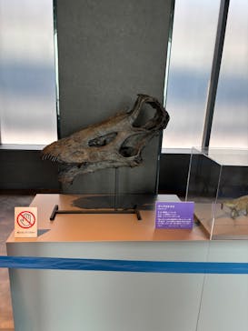 サンシャイン60展望台に投稿された画像（2025/7/28）