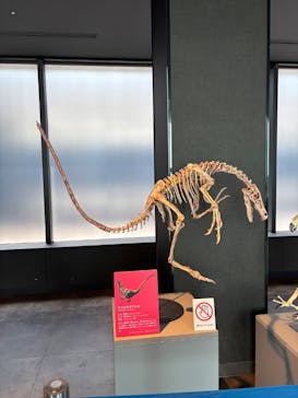 サンシャイン60展望台に投稿された画像（2025/7/28）