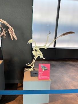 サンシャイン60展望台に投稿された画像（2025/7/28）