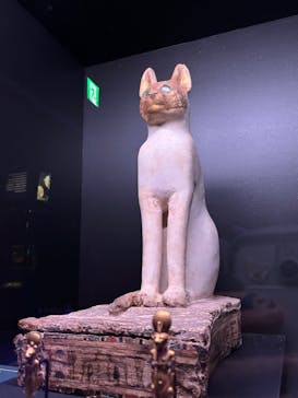 ACN ラムセス大王展 ファラオたちの黄金に投稿された画像（2025/7/28）