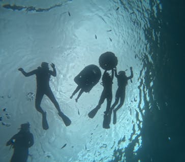 沖縄マリンサービス碧に投稿された画像（2025/7/28）