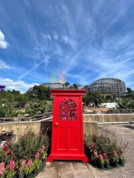 ひらかたパークに投稿された画像（2025/7/28）