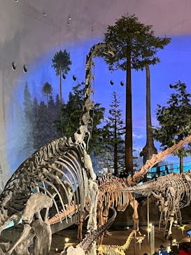 福井県立恐竜博物館に投稿された画像（2025/7/28）