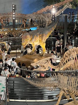 福井県立恐竜博物館に投稿された画像（2025/7/28）