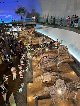 福井県立恐竜博物館に投稿された画像（2025/7/28）