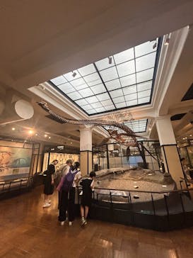 国立科学博物館に投稿された画像（2025/7/28）