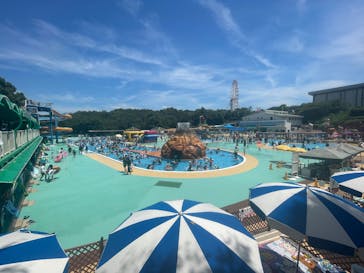 日本モンキーパークに投稿された画像（2025/7/28）