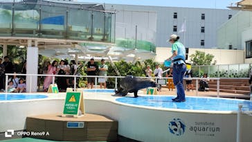 サンシャイン水族館に投稿された画像（2025/7/28）