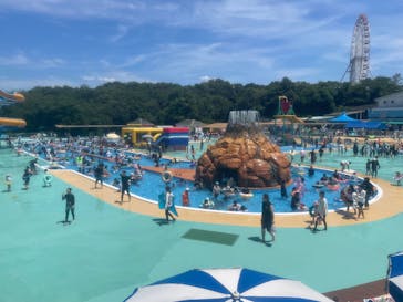 日本モンキーパークに投稿された画像（2025/7/28）