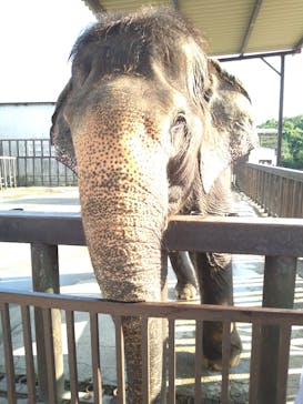 那須サファリパークに投稿された画像（2025/7/28）