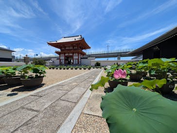 公益社団法人　奈良市観光協会に投稿された画像（2025/7/28）