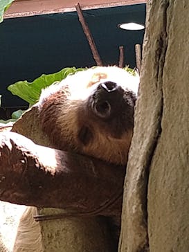 那須どうぶつ王国に投稿された画像（2025/7/28）