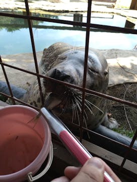 那須どうぶつ王国に投稿された画像（2025/7/28）