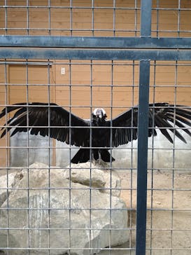 那須どうぶつ王国に投稿された画像（2025/7/28）